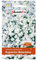 PlantiCo 0,3g Bieberstein Hornkraut Graines de fleurs pour balcon terrasse Plante vivace à floraison pour tapis de fleurs somptueux Résistant au gel Vivace