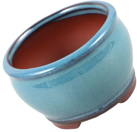 HANABASS Pianta succulenta di asparagi in vaso mini fioriera succulenta Vaso da fiori da balcone impianti fioriere floreale Pentola pianta succulenta vaso per piante grasse argilla viola