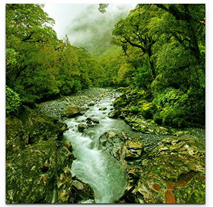 Paul Sinus Art Leinwandbilder | Bilder Leinwand 60x60cm ein kleiner Fluss im Regenwald
