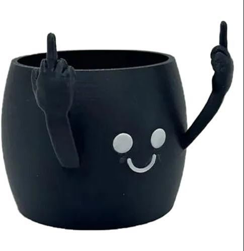 WZTHLF Pots de fleurs d'intérieur souriants avec doigt d'honneur mignons pour plantes grasses, expressions amusantes (noir)