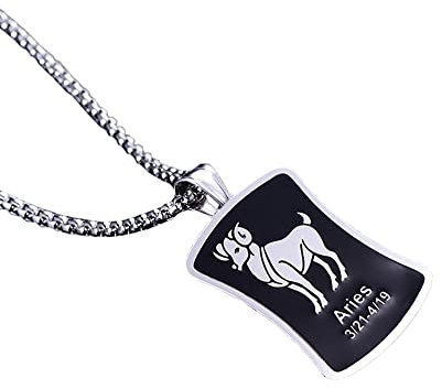 HIJONES Women Men's 12 Constellation Horoscope Square Tag Pendant Necklace Stainless Steel Birth Star Sign Personalized Pendant Chain Jewelry Aries