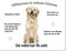 Merchandise for Fans Blechschild/Warnschild/Fun Türschild 20x30cm - Willkommen in Meinem Zuhause - Motiv: Golden Retriever/Labrador sitzend - 01