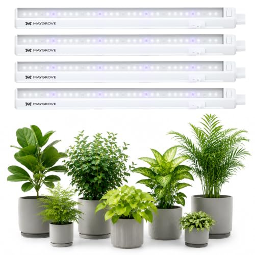 Maygrove LED Pflanzenlampe 30cm, Dimmbare Vollspektrum, Weiß, 4er | Grow Lampe 440nm, 660nm & UV-A Spektrum, Rot-Blau Pflanzenlicht Streifen, für Wachstum Sukkulenten, 2 Modi