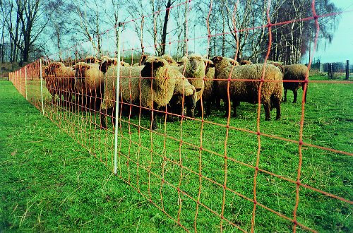 Elektronetz Euro-Netz Extra 50m lang 90cm hoch mit Wildverbiss