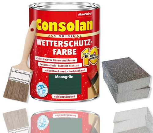 Consolan Wetterschutzfarbe Set 2,5 l Holzfarbe Dauerschutz Deckend mit Zubehör (Moosgrün)