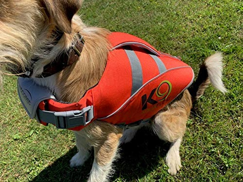K9 AquaFloat (Small, Orange), professionelle Hundeschwimmwesten, für den regelmäßigen Einsatz im Pool und für Spaß auf dem Wasser