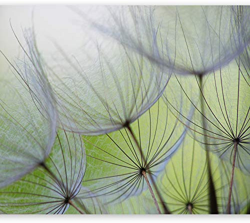murando PREMIUM Fototapete Pusteblume 200x140 cm Vlies Tapeten Wandtapete XXL Moderne Wanddeko Design Wand Dekoration Wohnzimmer Schlafzimmer Büro Flur Blumen Natur grün
