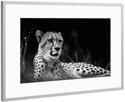 artboxONE Poster mit Rahmen Silber 30x20 cm Gepard in der Savanne von Uwe Merkel - gerahmtes Poster