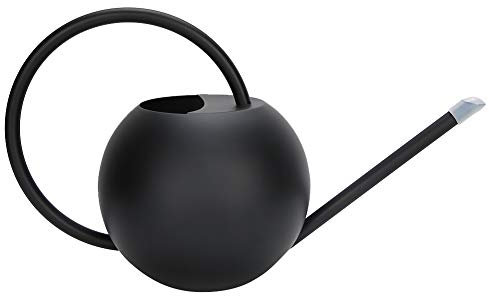 RockVOQRN - Regadera de acero inoxidable para jardín de boca larga de acero inoxidable