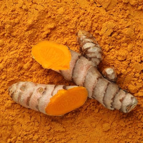 Kurkuma Pflanzen Samen, balkon kräutergarten Curcuma longa, Einpflanzen Curcuma, samen kräuter, biosaatgut stauden winterhart mehrjährig kräutersamen, garten samen kräuter saatgut, 250pcs