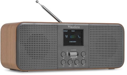 Audizio Bucine - Internetradio WLAN mit DAB Plus Radio, Bluetooth, 40 Watt Stereo Digitalradio, LCD-Farbdisplay, Wecker & Sleeptimer, Auto-Suchlauf, 3,5mm AUX, WiFi Radio Internet - Grau | AUX, Bluetooth, WLAN und DAB+/FM-Radio, 40 W Stereo-Sound, Farbdisplay, optimal, perfekt für Zuhause und Büro