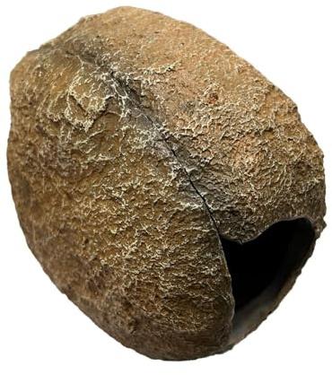 PUXZYAX Shrimp Cave Carved Resin Rocks Offering Realistic Magnetic Aquarium Rock Shelter Imitating Natural Rocks Magnetic Aquariums Hideouts Rock Cave Aquarium Hideout