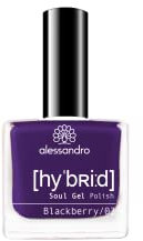 alessandro HYBRID Lack Blackberry - sattes Brombeer-Blauviolett- In nur 3 Schritten - perfekte Nägel ohne LED -bis zu 10 Tagen halt! 8 ml