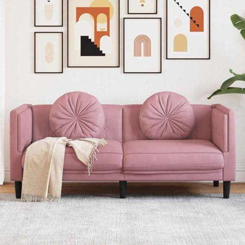 Massbinet 2-Sitzer Modernes Couch Gepolsterter Polstersofa mit Samtoptik für Wohnzimmer Schlafzimmer Rosa Samt