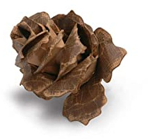 Sizzix Jumbo Tattered Pincone Bigz Stanze