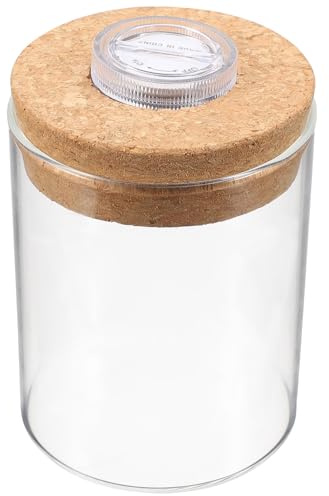 NUOBESTY Zylindrische Borosilikatglasflasche mit Deckel und LED Licht für Selbstgemacht Micro Landscape Dekorative Glasvase als Kleiner Ökosystem im Glas für Blumenarrangements