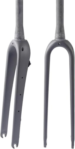 Fourche rigide en carbone for vélo de gravel, 700C, tube de direction droit et conique de 1 1/8, fourche avant en carbone avec blocage rapide 9x100 mm, adaptée aux freins à disque(B-tapered)