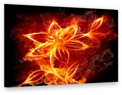Visario Leinwandbild 80x60 cm 4147 - Feuerblume, Blüte aus Flammen auf Schwarz - Wandbild fertig aufgespannt auf Holzrahmen
