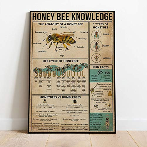 TNND Bienen-Poster Honigbiene Wissen Poster Anatomy Of Bee Poster Love Farm Art Vintage Poster Wandkunst Tierposter Heimdekoration Metallschild Poster 20,3 x 30,5 cm