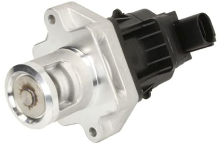 Delphi Technologies EG10496-12B1 EGR Valve