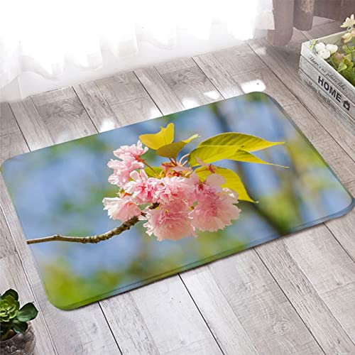 Paillasson Extérieur Bienvenue, Tapis Entree Terracotta Motif de Fleurs et de Feuilles Roses 60X180cm Décorations pour la Maison