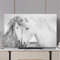 Hixingo Cubierta Antipolvo TV, Patrón Caballo 3D Cubierta Antipolvo Television 32-80inch Funda para Televisor Elástico Universal Cubierta de TV Protector TV (40-43inch,Caballo Blanco)