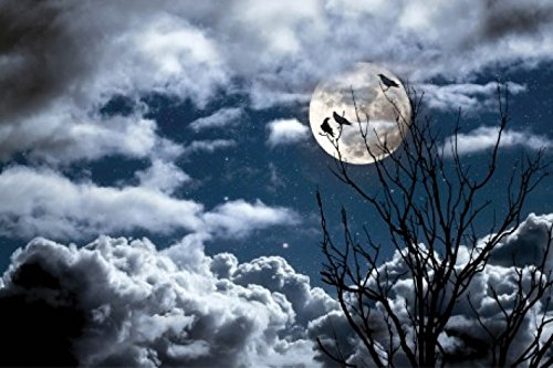 1art1 Gothic Die DREI Raben Bei Vollmond Selbstklebende Fototapete Poster-Tapete 180x120 cm