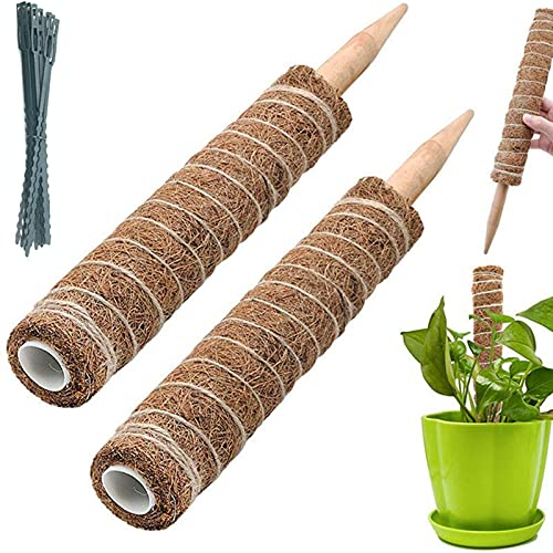 BECHOICEN Moss Pole, 2Pcs Coir Totem Pole Plant Support Totem Pole Moss Pole for House Plants Moss Pole for Cheese Plant with 20 Pieces Garden Cable Ties,12inch