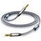 RIKSOIN Cavo AUX da 3,5 mm con supporto ad anello magnetico [Hi-Fi, schermato] 3,5 mm maschio a maschio, cavo AUX AUX (1P-1,2 m)