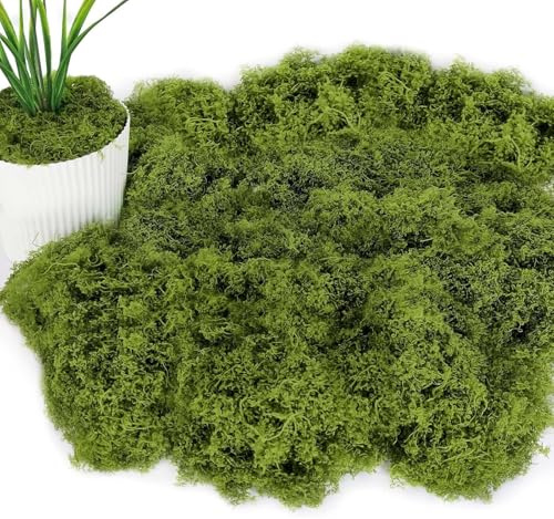 ZQuintuplian 100g Fake Moss, Moss Balls, Highly Attractive and Versatile In Shape Terrarium Moss, Fake Green Lichen Plants for Home, Garden, Crafts, Model Making