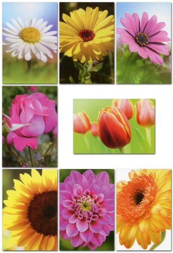 50 Grußkarten Blumen ohne Text 8 Motive Neutrale Glückwunschkarten mit Umschlägen 99-1910