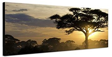Wandbild auf Leinwand als Panorama in 150x50cm Afrika Landschaft Bäume Sonnenuntergang