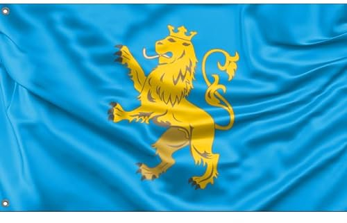 Ivano-Frankivsk Region, Ukraine Flagge | Einzigartiger Designdruck | Made in EU (90 x 150 cm)