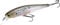 LUCKY CRAFT Pointer 100, 238 Ghost Minnow, Jerkbait, Turniergewinner, Süßwasserbarsch-Angelköder, hängender Harter Köder mit seitlicher Aktion, integrierter Rassel und Gewichtsübertragungssystem
