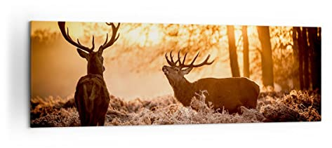 Panorama Bilder auf Leinwand 160x50cm Leinwandbild Deer Heidekraut Tier Groß XXL Wanddeko Bild Schlafzimmer Küche Wandbilder Dekoration Wohnzimmer Wall Decor Canvas Wand Kunstdruck Art AB160x50-3043