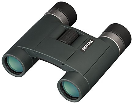 Pentax AD 8x25 WP BaK-4 Fernglas (105 mm, 110 mm, 40 mm, 300 g) Schwarz