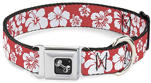 Buckle-Down Hibiskus Licht Rot/Weiß Hund Halsband Knochen, groß/38,1–66 cm