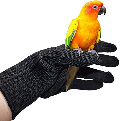 Hearthrousy schutzhandschuhe weiß Schwarz Vögel Bissfeste Schutzhandschuhe Beißschutz Handschuhe Schnittfest Waschbar Geeignet zum FassenTrainieren Trimmen von Vogelfedernägeln und Füttern