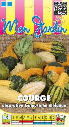Sachet de graines de Courges décoratives galeuses en mélange - 3 g - légume décoratif - LES GRAINES BOCQUET