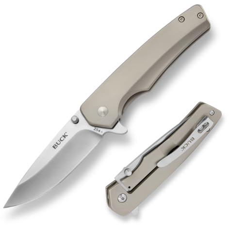 Buck Knives 254 Odessa Folding Frame Lock Taschenmesser mit Edelstahlgriff