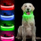 PcEoTllar Leuchthalsband Hund Aufladbar, Hundehalsband Leuchtend, Beleuchtetes LED Halsband für Hunde für Kleine Mittlere Große Hunde, Hunde Leuchthalsband Wasserdicht 3 Leuchtmodi, Grün-M