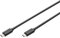 DIGITUS Cable de conexión USB 2.0 - 3,0 m - USB C (m) a USB C (m) - 480 Mbit/s - Cable tipo C, cable de conexión - Negro