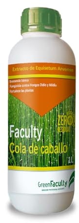 GreenFaculty - Cola de Caballo - Fungicida Ecológico para Plantas de Interior, Jardín y Huerto. Contra Hongos como Oidio y Mildiu. Equisetum Arvense 1L