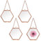 SUMNACON Set of 4 Glass Hexagon Photo Frame Hanging Artwork Display Frame, Home Decor Mini Wall Picture Frame Ornament Decorative Photo Hanging Frame, Side Length 4.4cm (Rose Gold)
