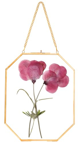 REDHUGO Cadres pour fleurs pressées, cadres flottants en verre pour présenter des spécimens de plantes séchées et des photos, cadre photo en laiton avec chaîne suspendue, double verre clair, octogonal