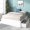 Zinus Marlow Cama 150x200 cm - Altura 33 cm - Marco de Cama de Madera con cajones de Almacenamiento incorporados y Listones de Madera - Blanco