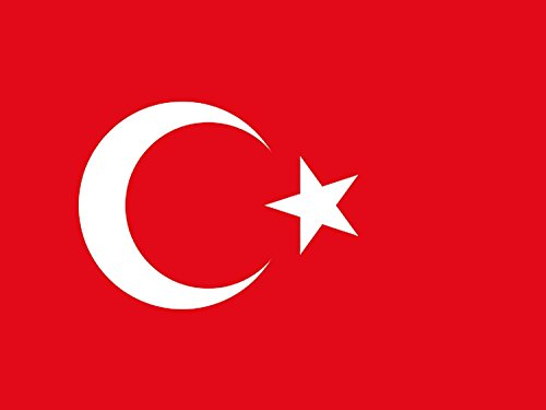 Taffstyle Fanartikel Fahne für Fussball WM & EM Flagge 150cm x 90 cm mit Metallösen - Türkei