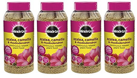 4 x Azalea Plant Food Jar 1Kg