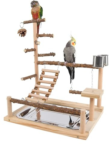 Lekställning För Nymphparakit Fåglar Trä Lekställning Med Gunga | Ställ Med Pinnar Till Fåglar Med Rostfritt Stål Och Bricka För Träning Motion Och Tuggning För Conure Fink