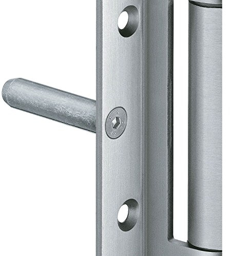 Tragzapfen 12 x 50 mm, m. Schraube M5 x 14 Stahl vernickelt